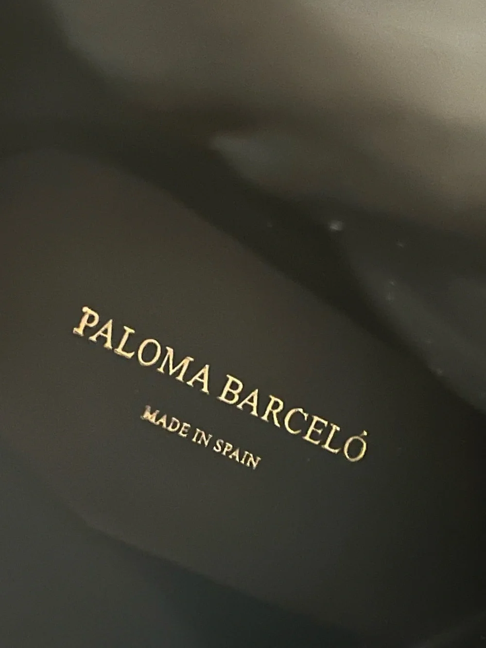 Paloma Barcelo Eve Chunky Platform Boots in Black